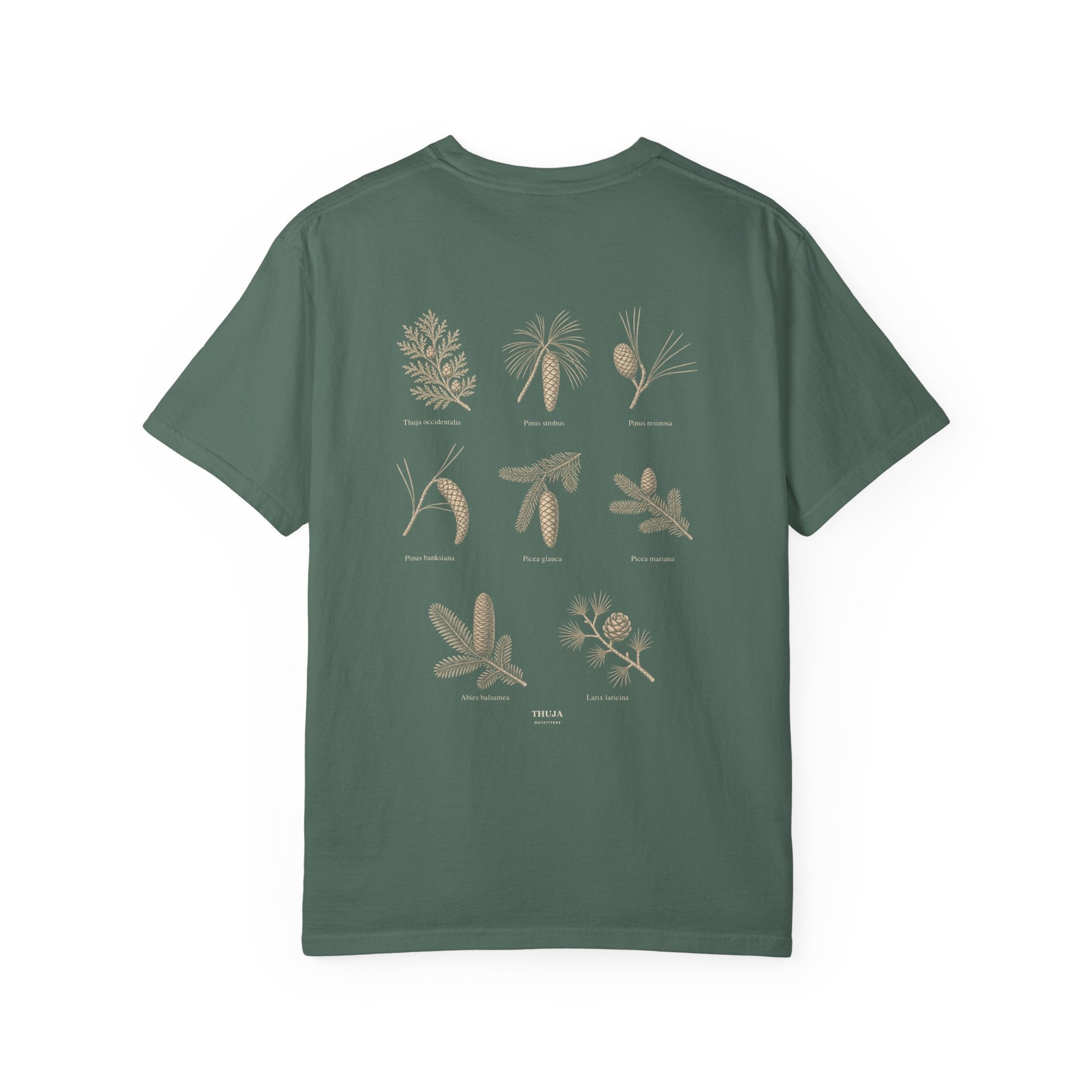Northwoods Conifers T-Shirt — Thuja Outfitters Field Guide Tee
