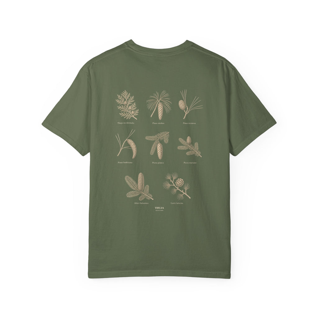 Northwoods Conifers T-Shirt — Thuja Outfitters Field Guide Tee