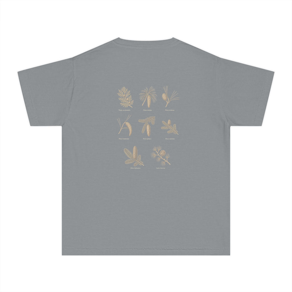 Kids Northwoods Conifers T-Shirt — Thuja Outfitters Field Guide Tee