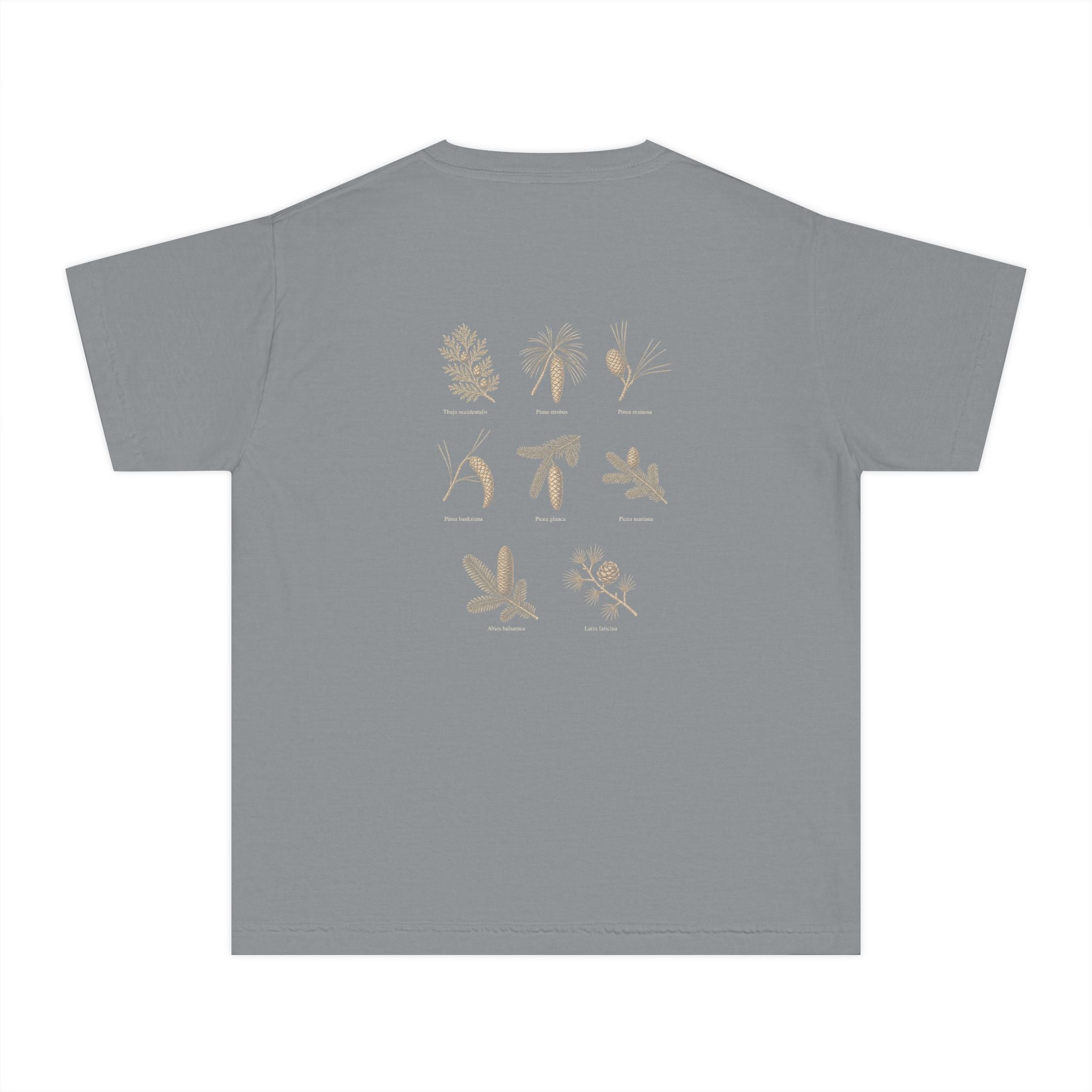 Kids Northwoods Conifers T-Shirt — Thuja Outfitters Field Guide Tee