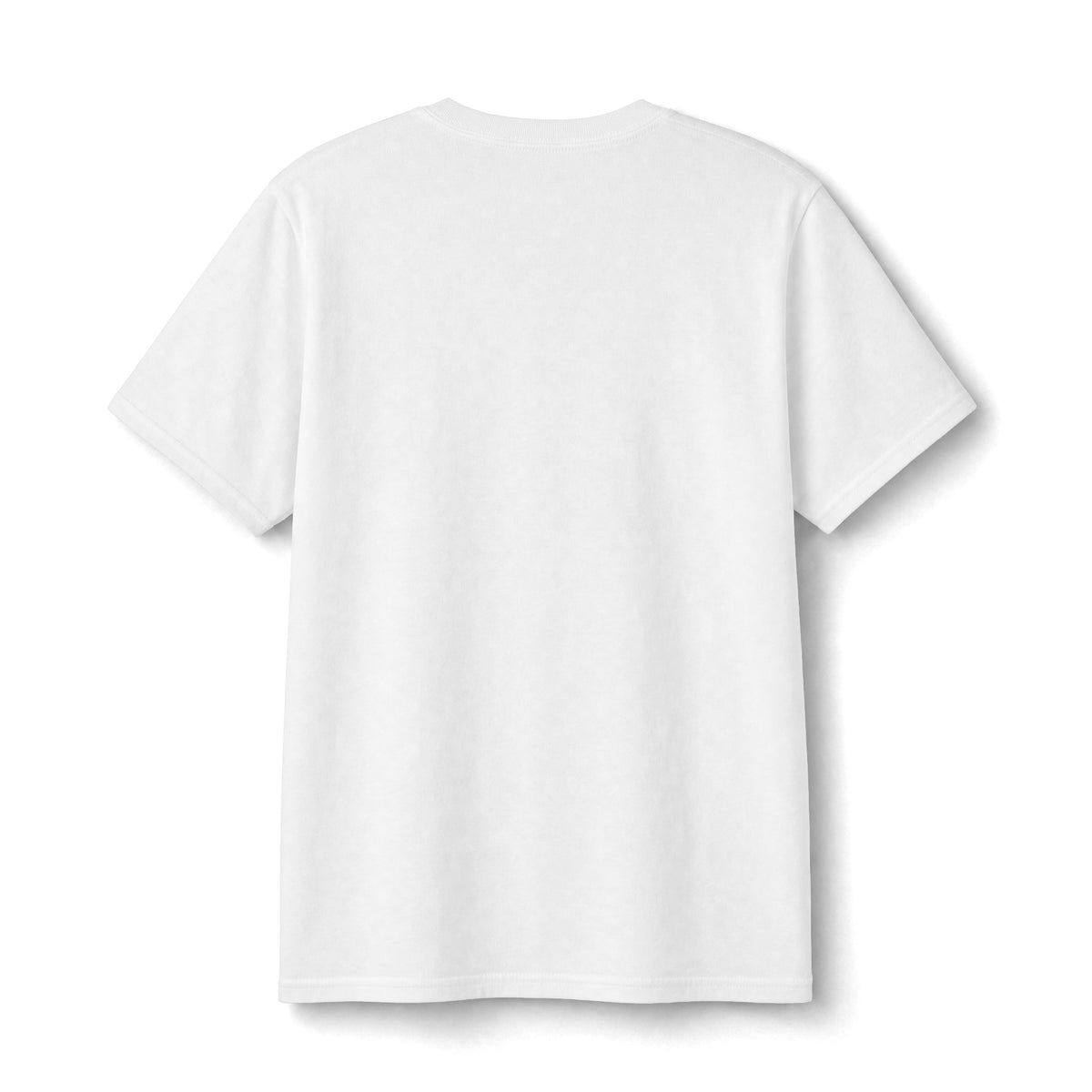 Atlantic Puffin Field Notes Youth T-Shirt
