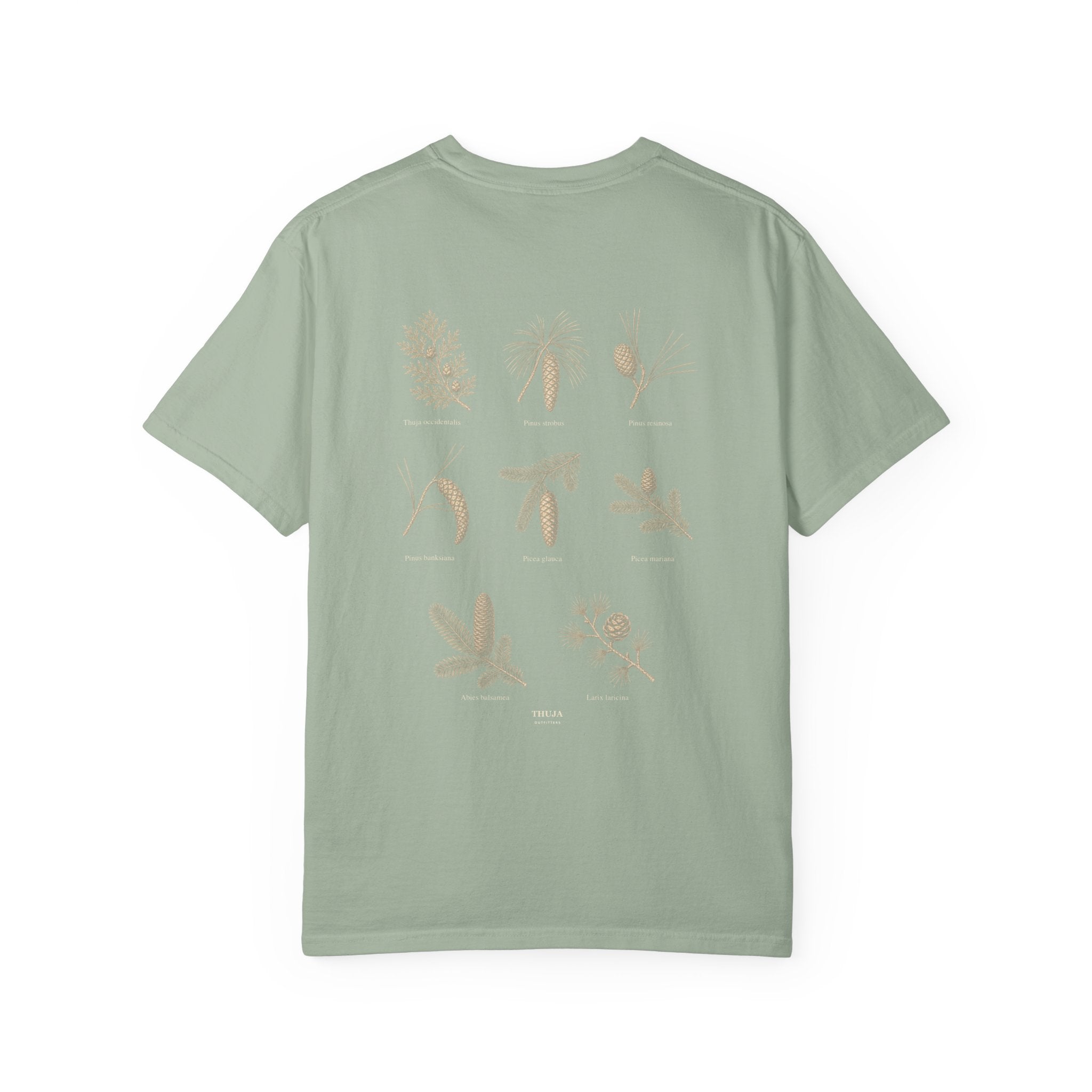 Northwoods Conifers T-Shirt — Thuja Outfitters Field Guide Tee