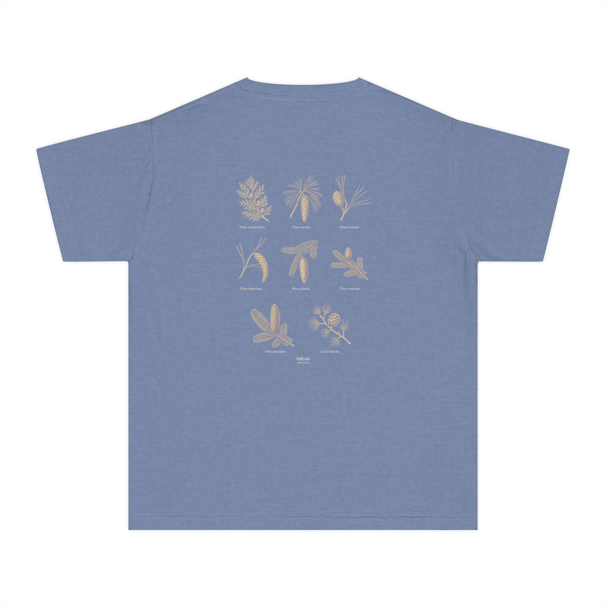 Kids Northwoods Conifers T-Shirt — Thuja Outfitters Field Guide Tee