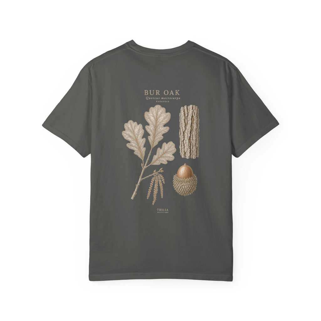 Bur Oak Botanical T-Shirt - Thuja Outfitters Field Plate