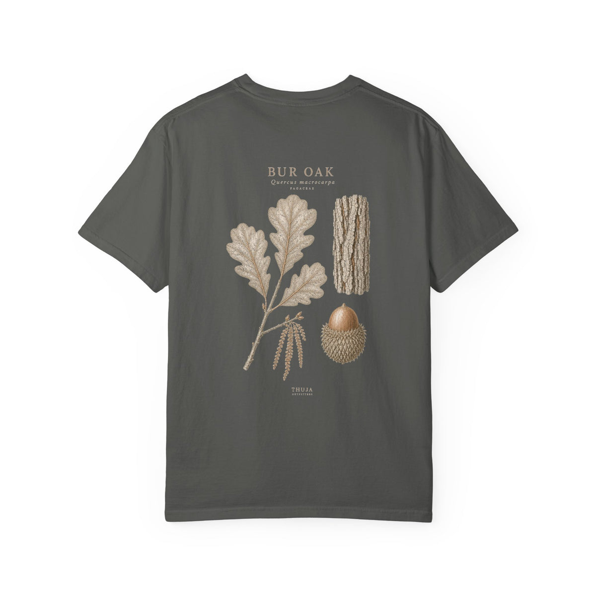 Bur Oak Botanical T-Shirt - Thuja Outfitters Field Plate