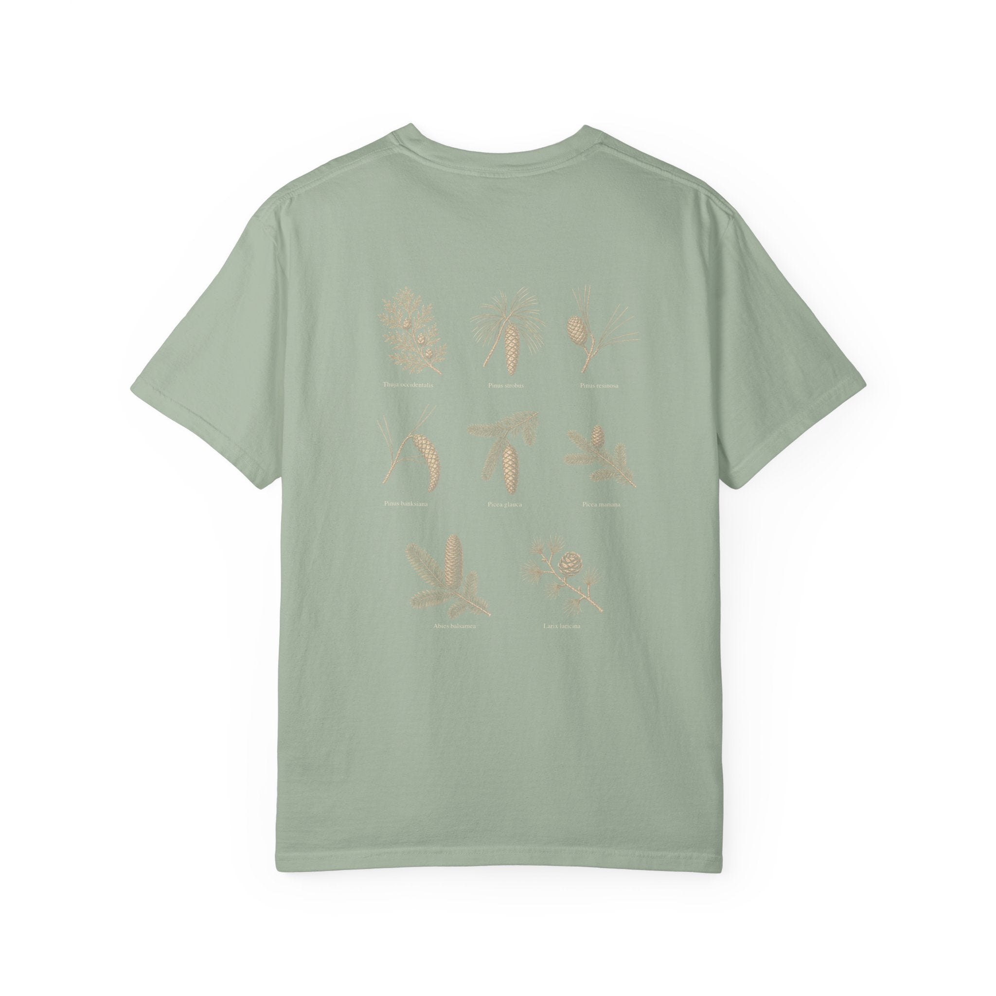 Northwoods Conifers T-Shirt — Thuja Outfitters Field Guide Tee