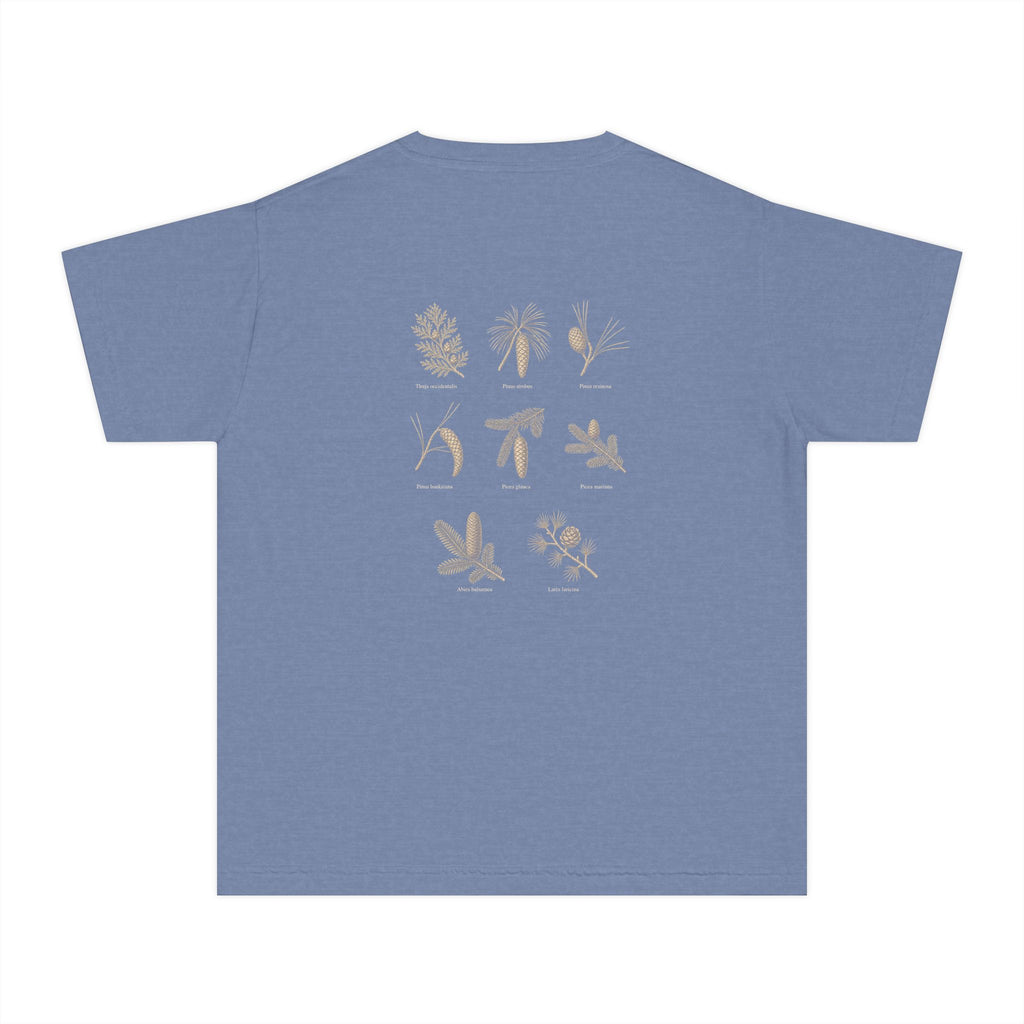 Kids Northwoods Conifers T-Shirt — Thuja Outfitters Field Guide Tee