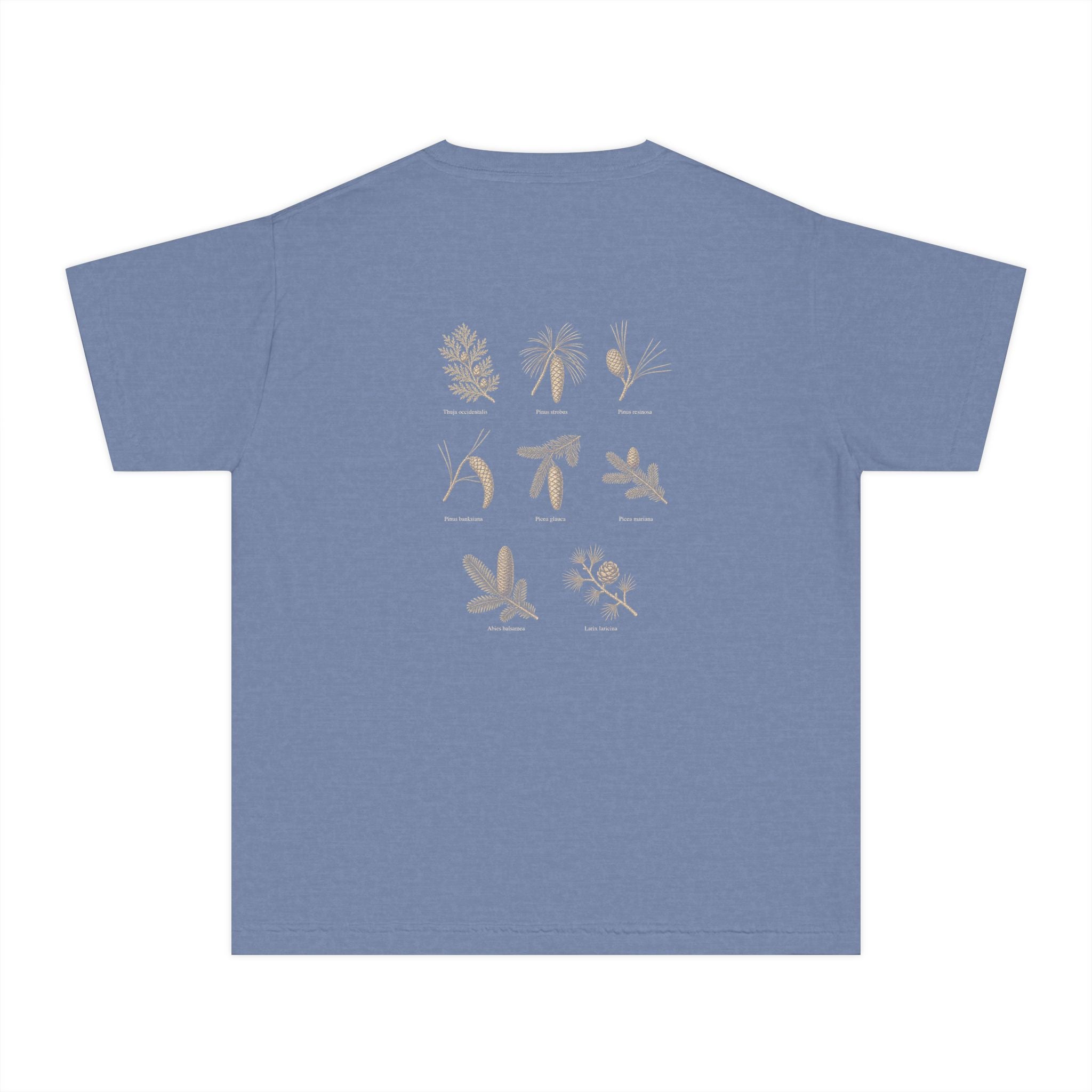 Kids Northwoods Conifers T-Shirt — Thuja Outfitters Field Guide Tee