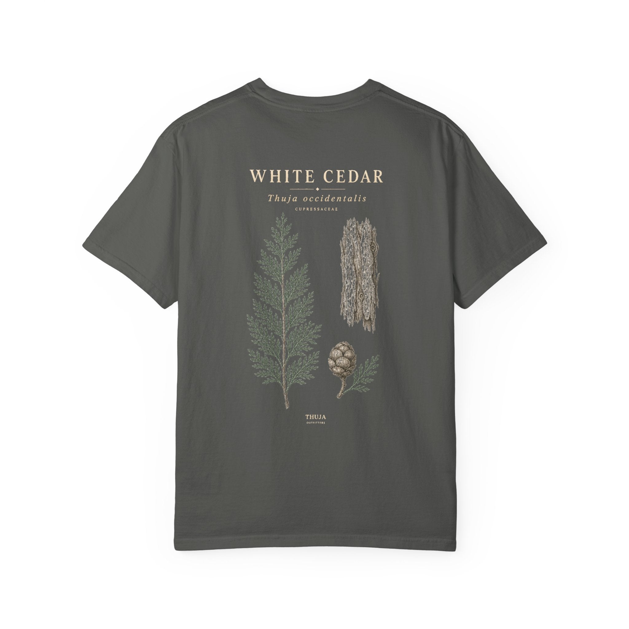 White Cedar Botanical T-Shirt - Thuja Outfitters Field Plate