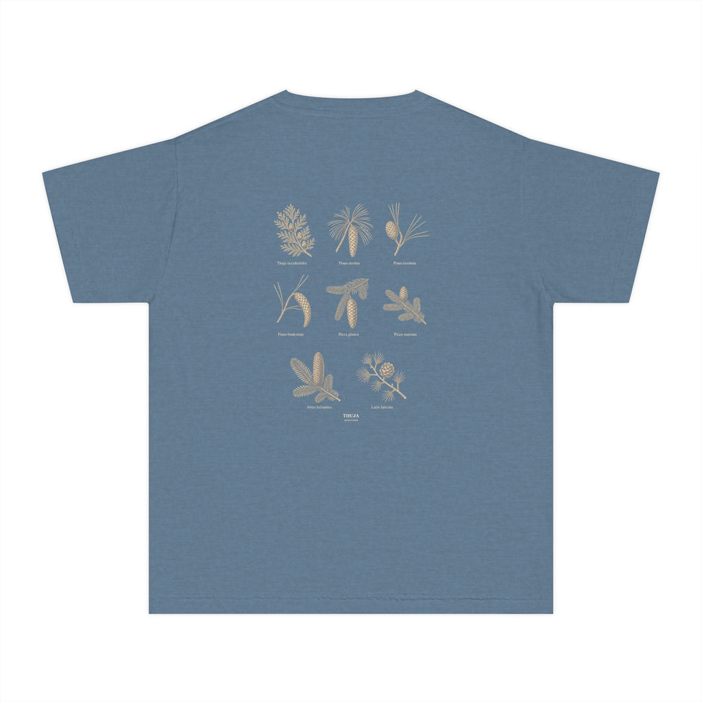 Kids Northwoods Conifers T-Shirt — Thuja Outfitters Field Guide Tee