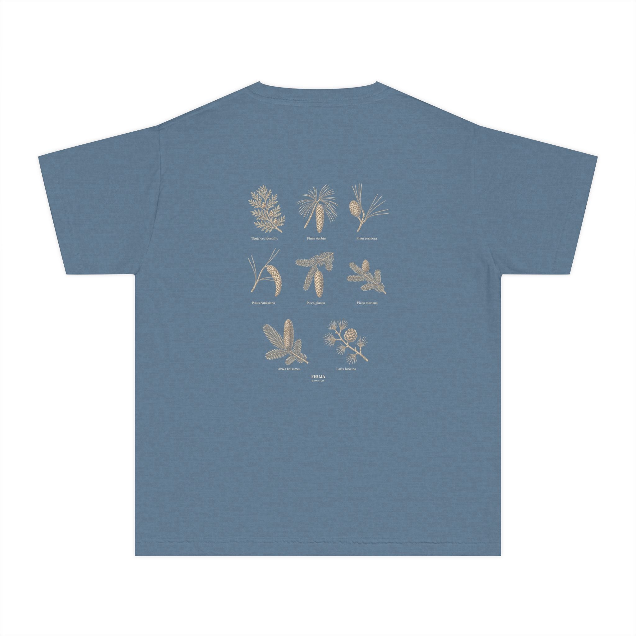 Kids Northwoods Conifers T-Shirt — Thuja Outfitters Field Guide Tee