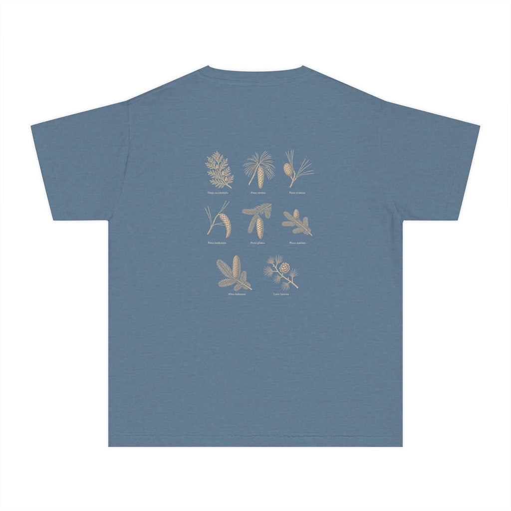 Kids Northwoods Conifers T-Shirt — Thuja Outfitters Field Guide Tee