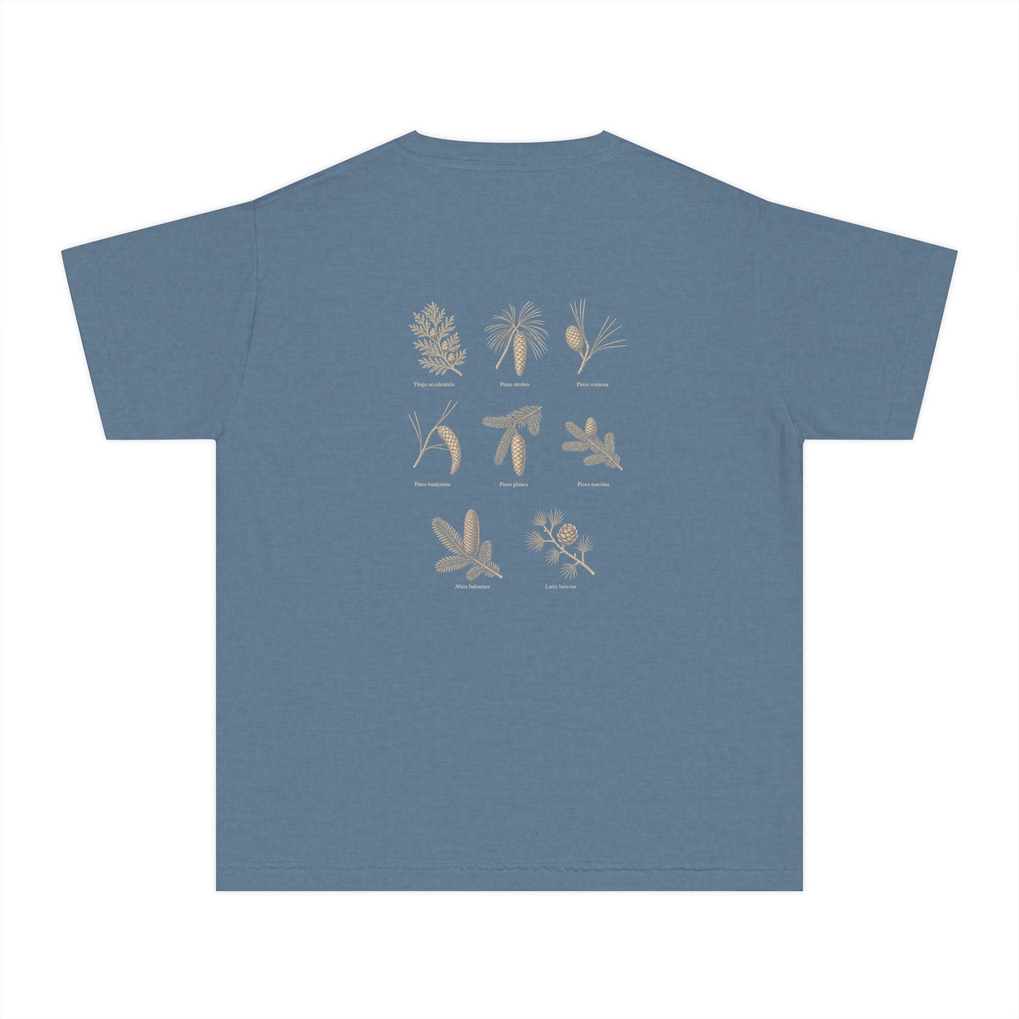 Kids Northwoods Conifers T-Shirt — Thuja Outfitters Field Guide Tee