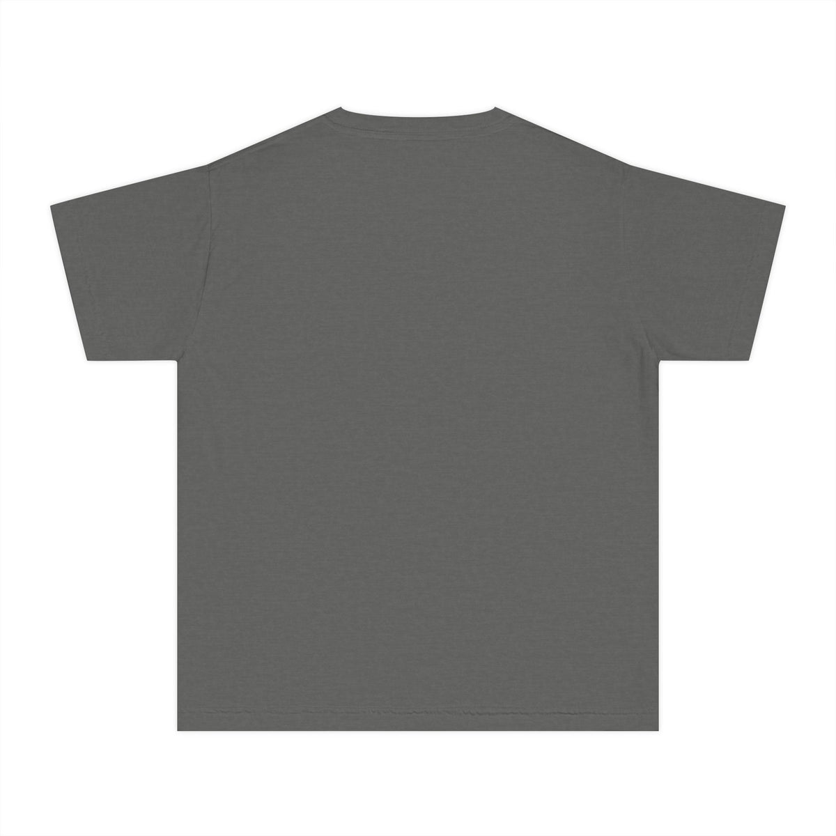 Lake Huron Field Survey Kids T-Shirt - Town of Oasis, Wisconsin