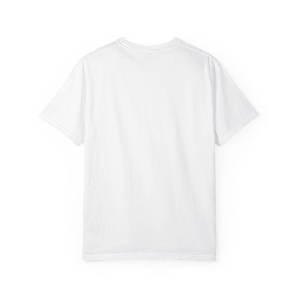 Lake Huron Field Survey Adult T-Shirt - Town of Oasis, Wisconsin