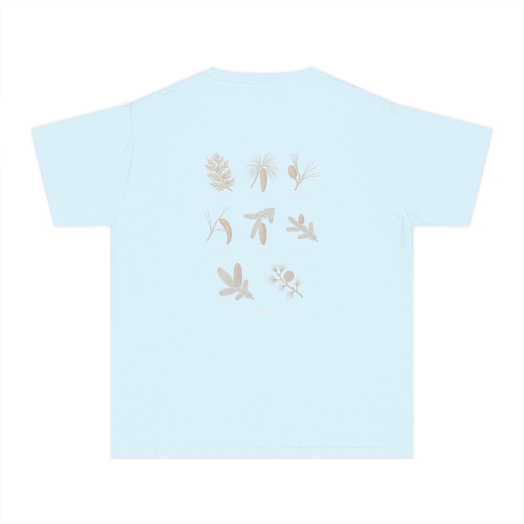 Kids Northwoods Conifers T-Shirt — Thuja Outfitters Field Guide Tee