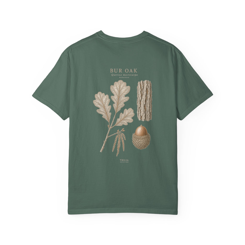 Bur Oak Botanical T-Shirt - Thuja Outfitters Field Plate