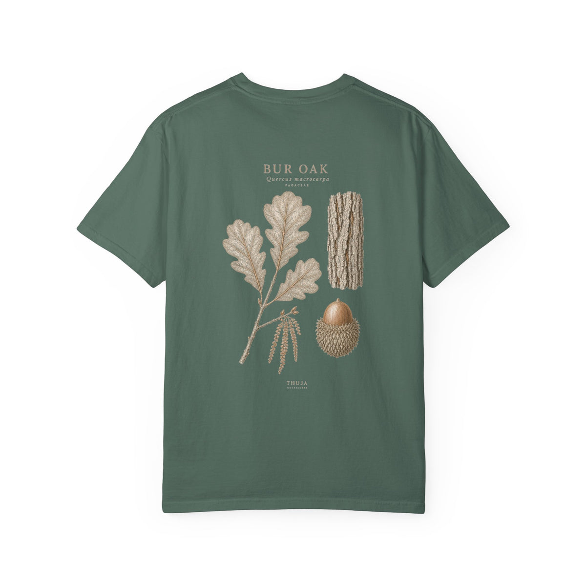 Bur Oak Botanical T-Shirt - Thuja Outfitters Field Plate