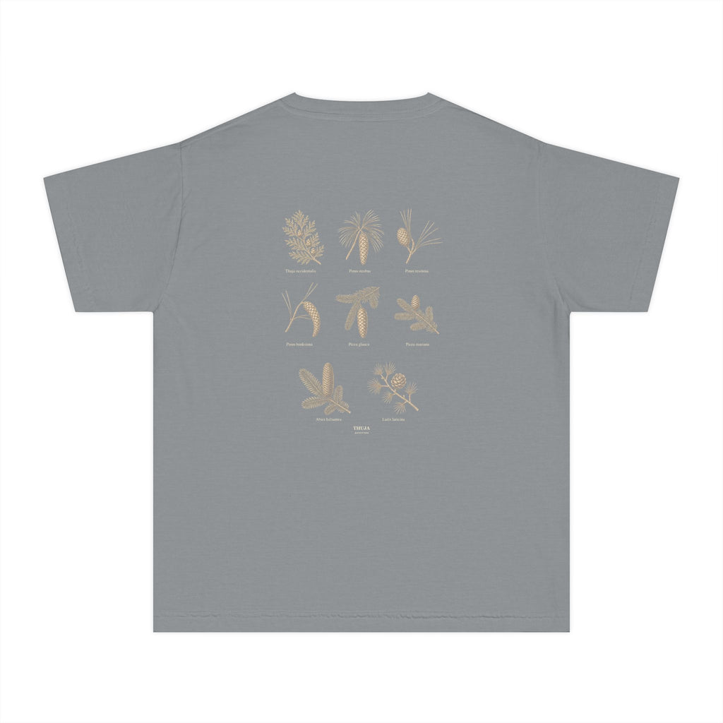 Kids Northwoods Conifers T-Shirt — Thuja Outfitters Field Guide Tee