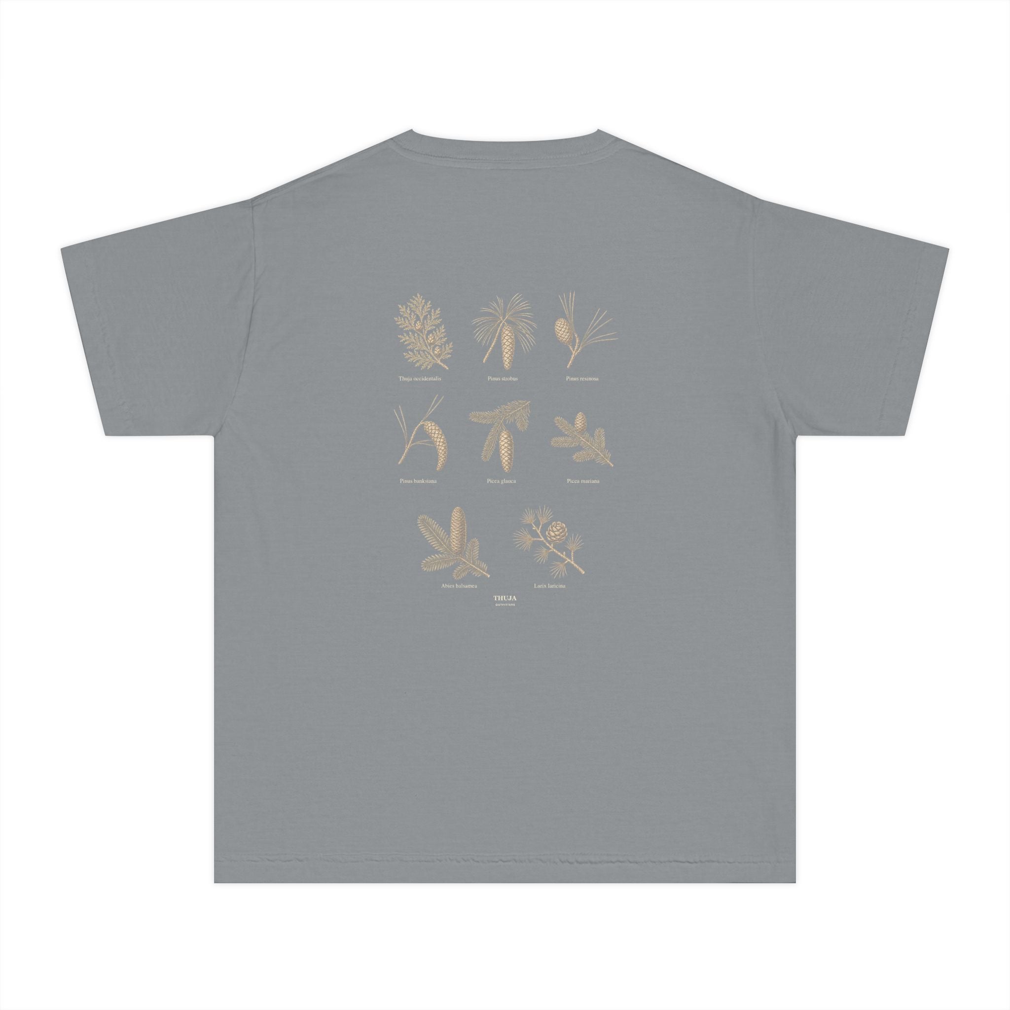 Kids Northwoods Conifers T-Shirt — Thuja Outfitters Field Guide Tee