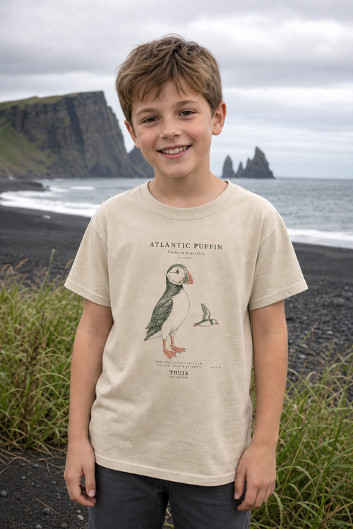 Child wearing the exact Sand Gildan 3000B youth Atlantic Puffin Field Notes tee on an Icelandic black-sand beach; front view
