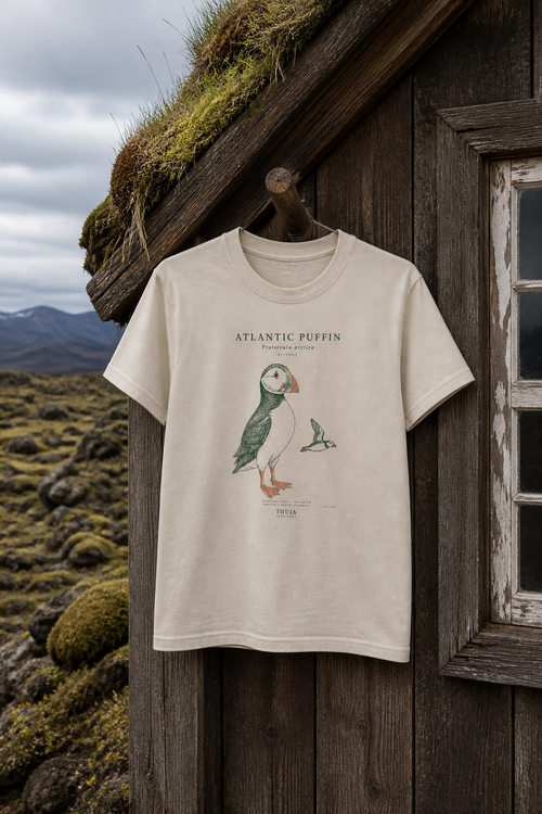 Exact Sand Gildan 3000B youth Atlantic Puffin Field Notes tee hanging outside an Icelandic turf-roof cabin; full front view