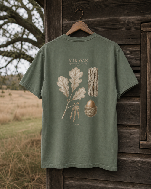Moss Comfort Colors 1717 Bur Oak Botanical T-Shirt hanging outside a cabin in bur oak savanna