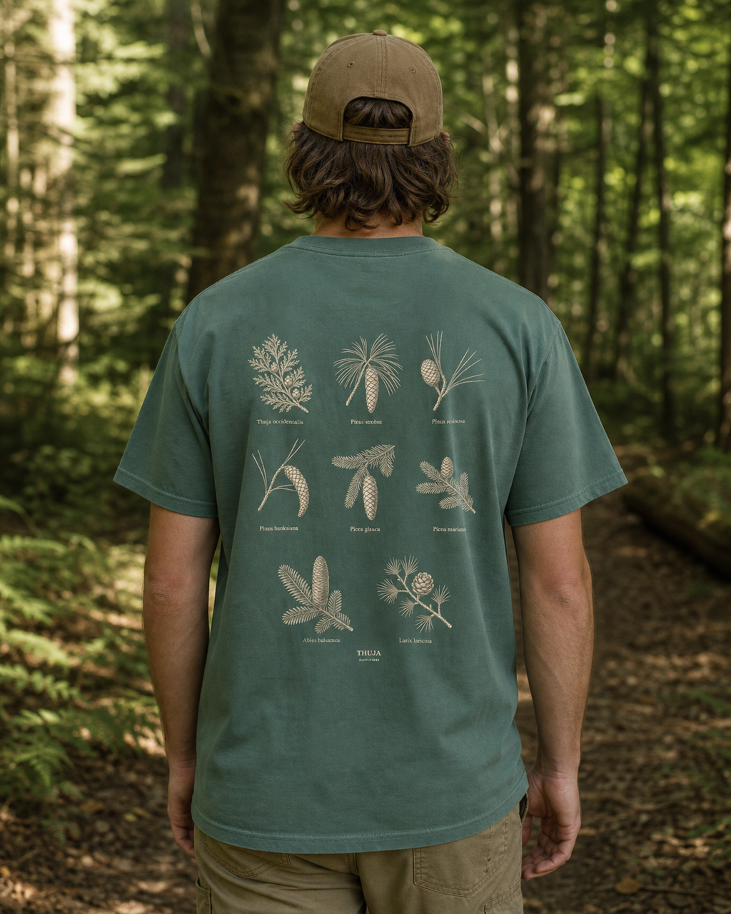Person wearing the Blue Spruce Northwoods Conifers T-Shirt with the updated botanical back print on a woodland trail