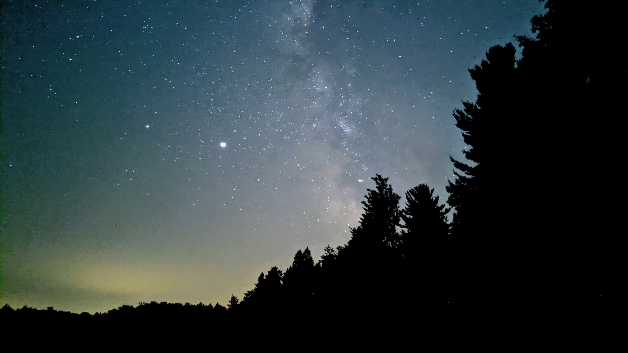 Stars over northern Wisconsin pines